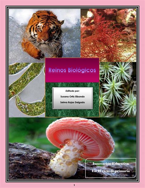 reinos biologicos-4